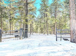 270 Dawson Rd, Pine, CO 80470