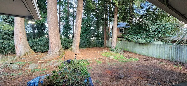 11301 31st Ave SE — Photo 2