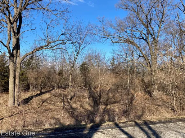 12436 Bohne Rd, Grass Lake, MI 49240