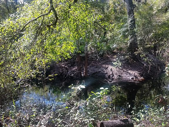 Wildlife preserve across river