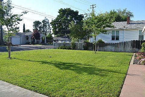 3rd image of 1111 McKinley Ave