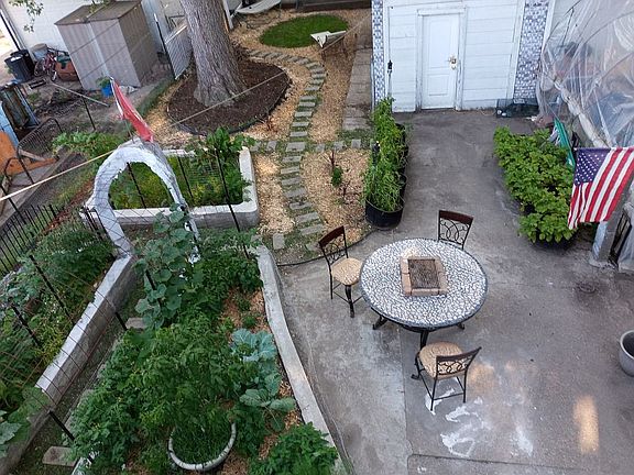 Back garden thriving