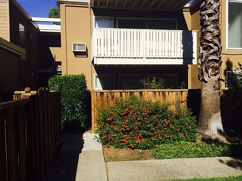1st image of 1919 Ygnacio Valley Rd APT 3