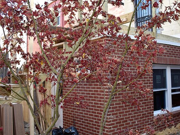 Rear exterior
