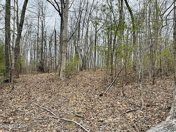 3rd image of 31 Tresa St Lot 31