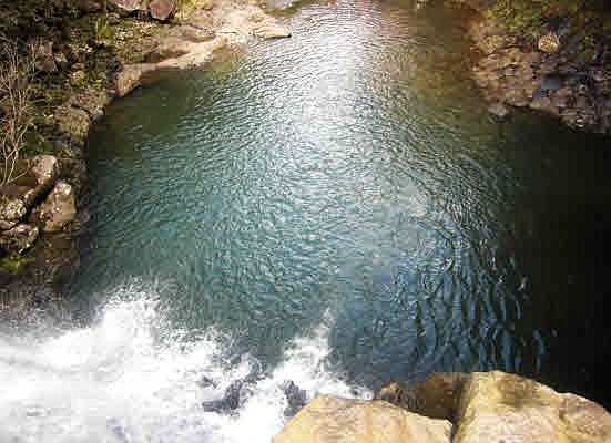 4th image of 32-301 Wailele Lot 10