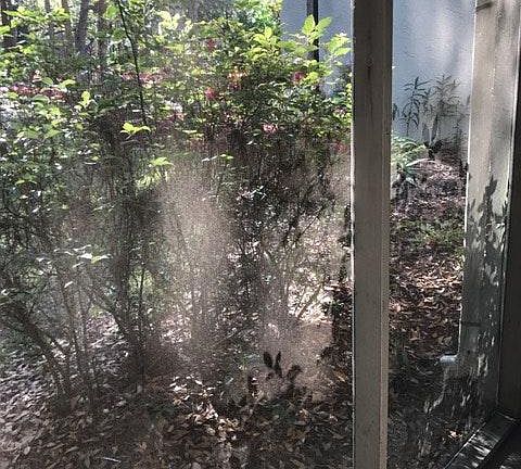 2nd image of 107 Fairway Dr #102C