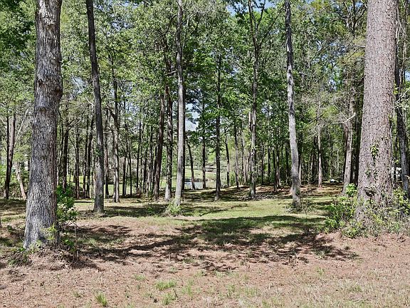 2nd image of 0 Harrell Cemetery Rd Lot 4 & 5