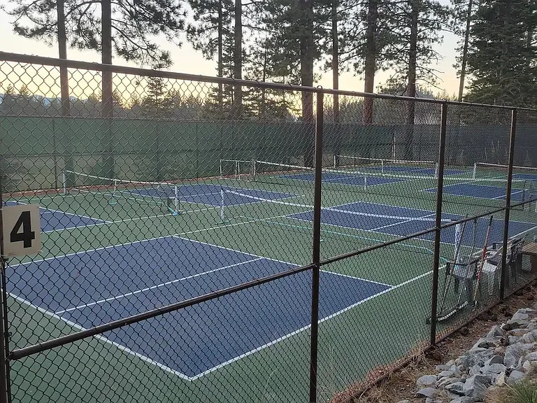 More Pickleball courts