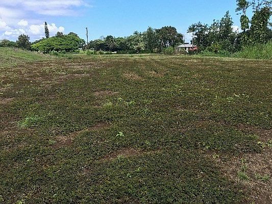 1st image of 3002 Lou St Lot 37