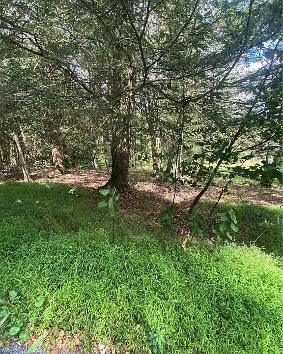 2nd image of 422 Red Oak Rd