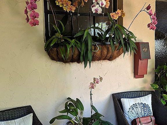 4th image of 2549 Okeechobee Ln