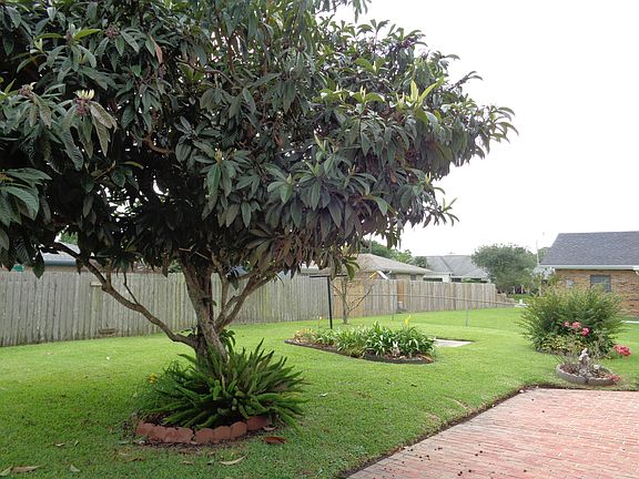 Rear Yard