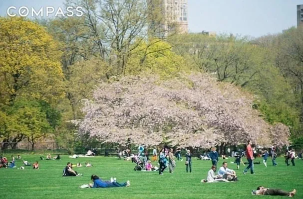 Rented by Compass | media 4