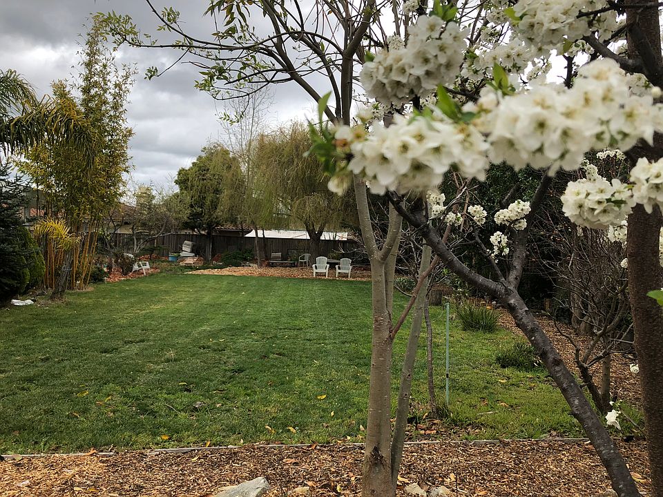 Large private park like yard