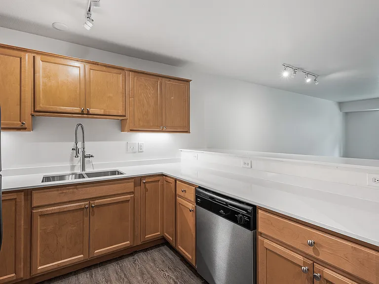 500 W Franklin Ave #2205 — Photo 5