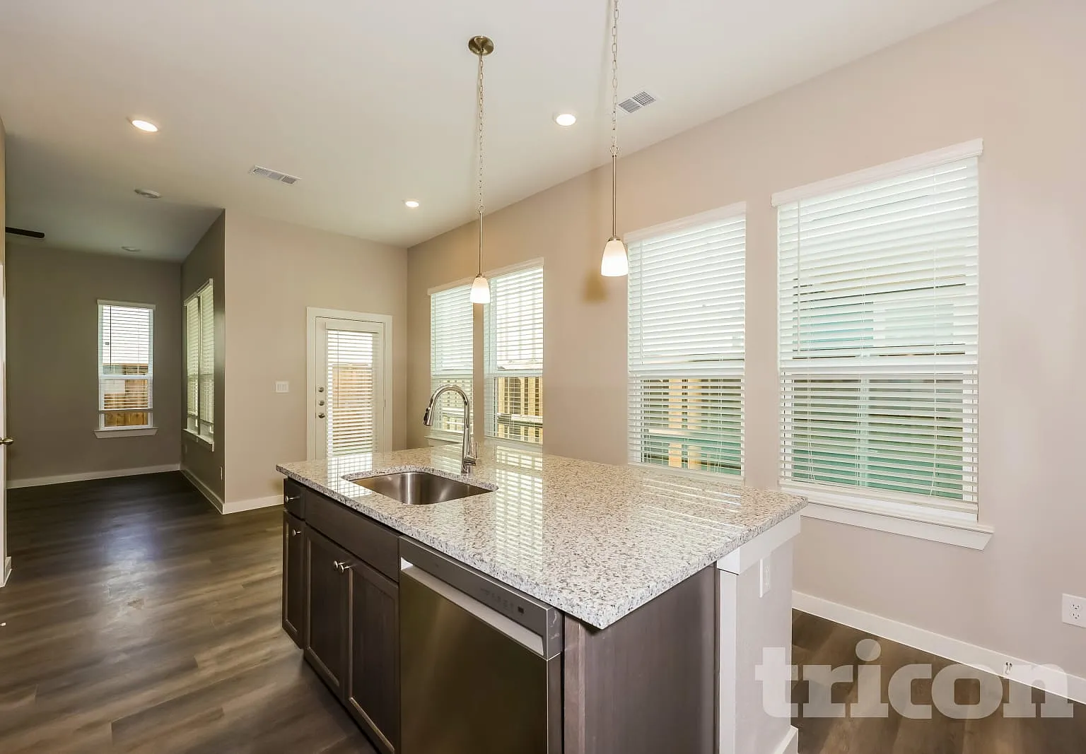704 Painted Loon Drive Arlington TX — Photo 4