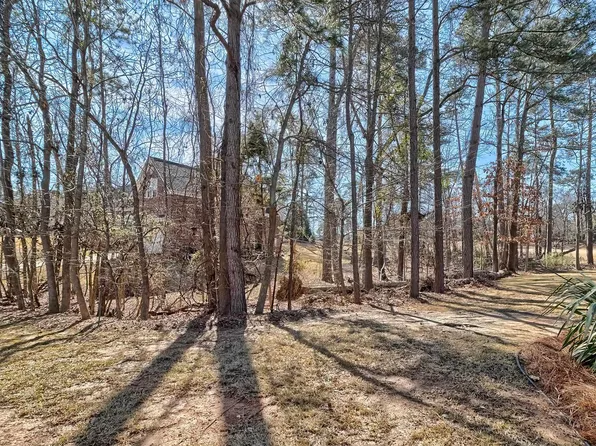 429 Oxenbridge Way, Chapin, SC 29036