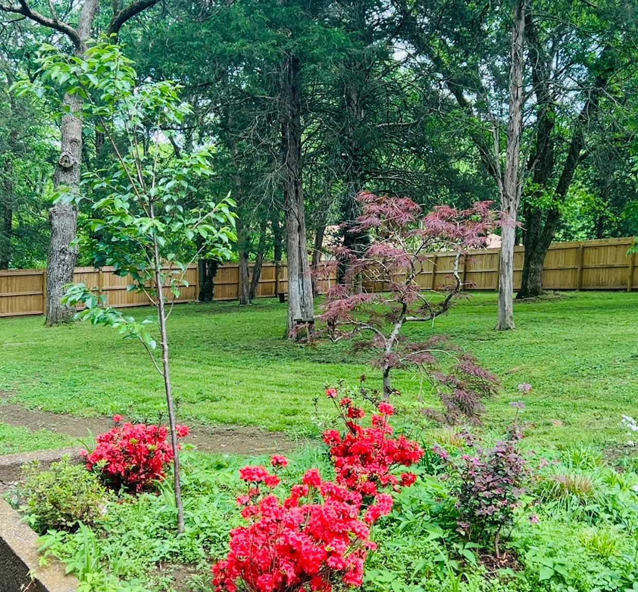 5 bed, 4008 sqft, $3,500 — Photo 2