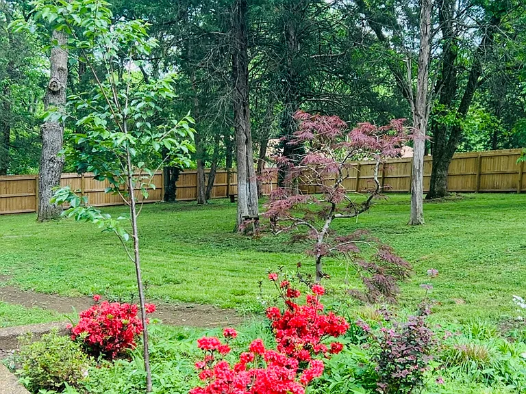 Half of the Backyard
