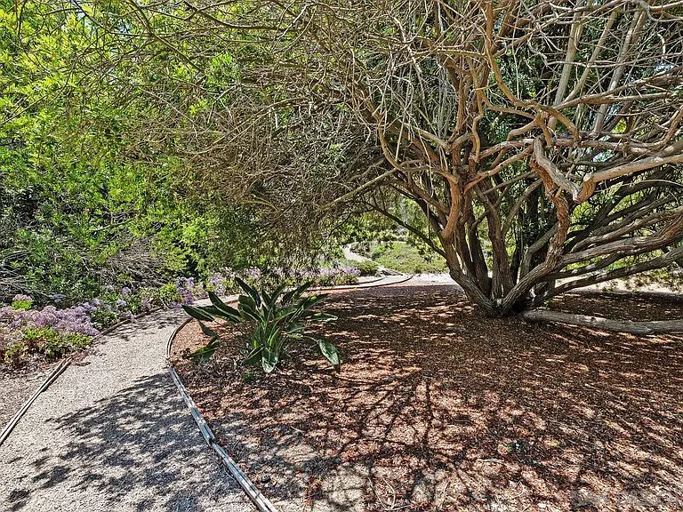 17240 Avenida De Acacias — Photo 45