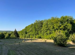 0 Fish Hill Rd #8, Willet, NY 13863