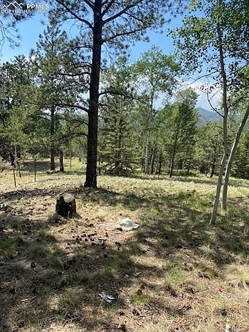 1st image of 531 Shavano Creek Trl