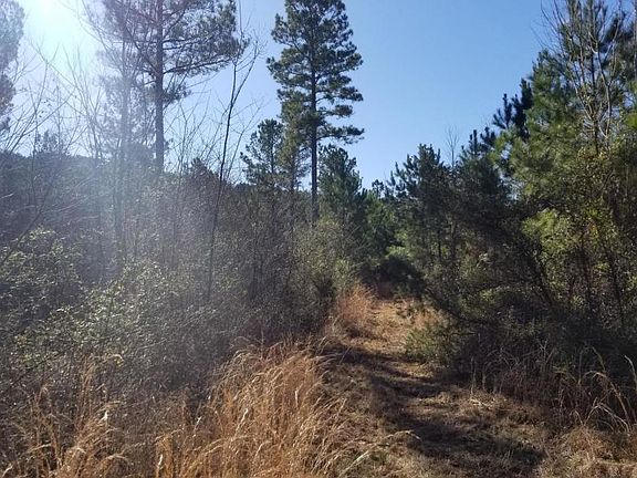 5th image of 61 County Road 351 Lot 2