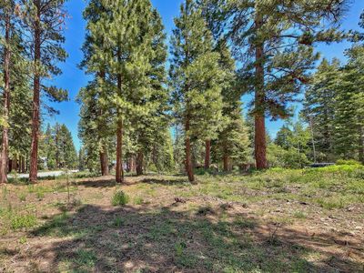 14853 Cavalier Rise, Truckee, CA, 96161