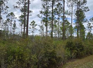 10 NW Natalie Way, Lake City, FL 32055