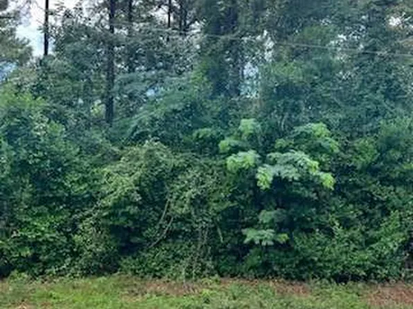 0 N Spring Creek Cir, Cobb, GA 31735