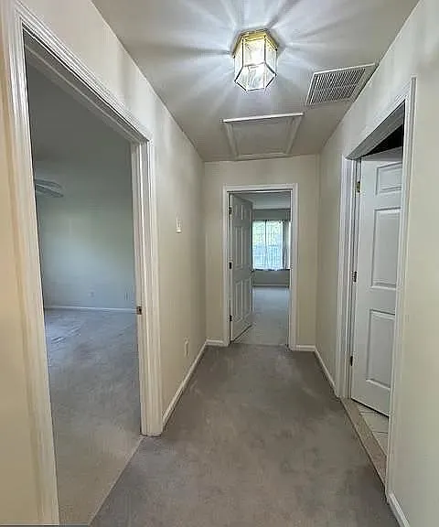1 Cardiff Ct — Photo 23