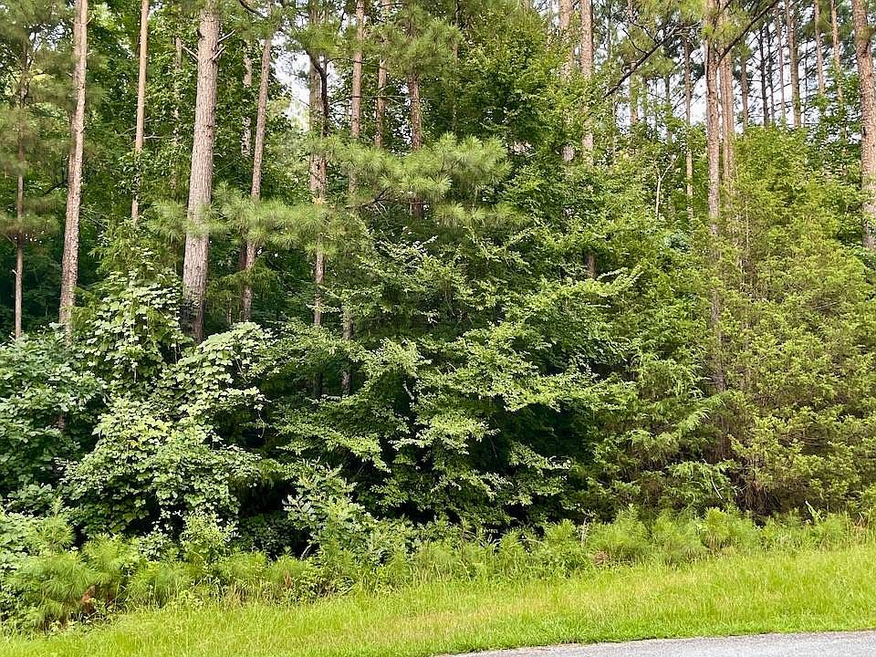 2nd image of 1012 Sally White Road Ext