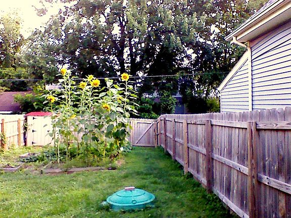Fenced in Yard with Garden