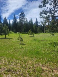 731 Heathman Rd, Anatone, WA, 99401