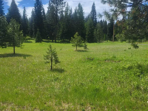 731 Heathman Rd, Anatone, WA 99401