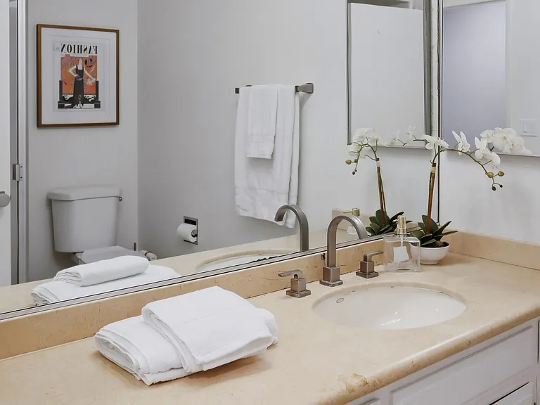 Second ensuite bathroom and shower.