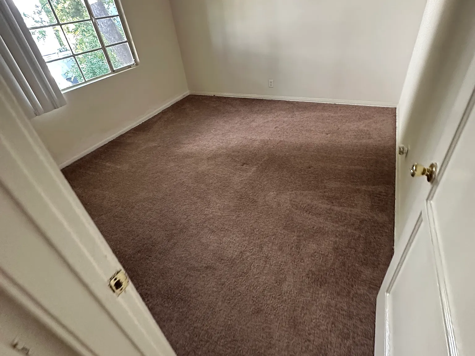3 bed, $5,500 — Photo 3