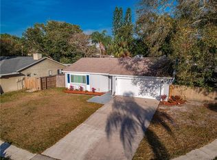 11607 Shady Tree Pl, Tampa, FL 33624