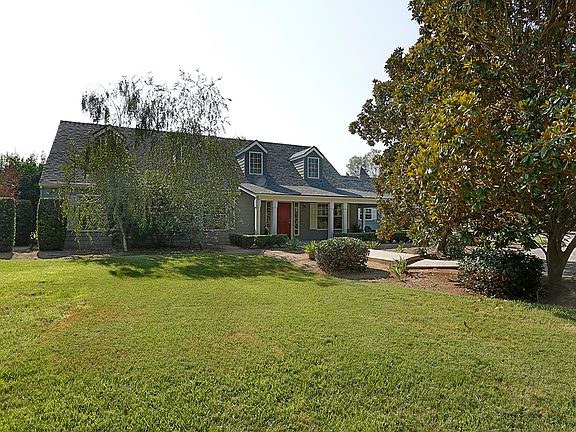 Magnolia Trees at Front