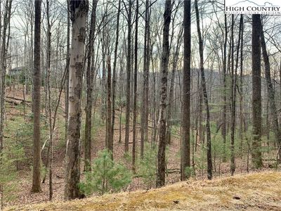 Tbd W Laurel Circle, Deep Gap, NC, 28618