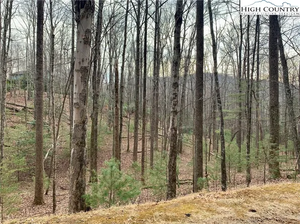 Tbd W Laurel Circle, Deep Gap, NC 28618