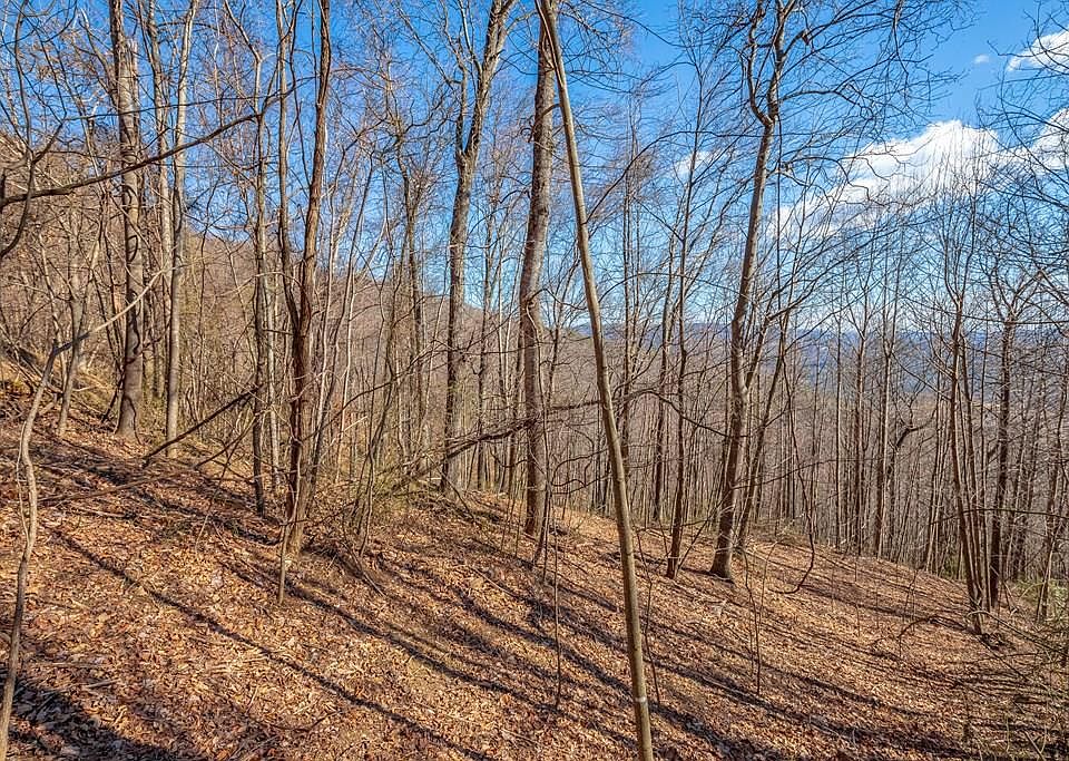 1st image of LOT 117 Spring Pond Trl