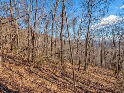 LOT 117 Spring Pond Trl, Fancy Gap VA - Owner Finance Home