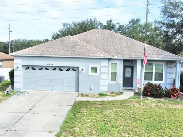 12825 Scout Ct, Grand Island, FL 32735