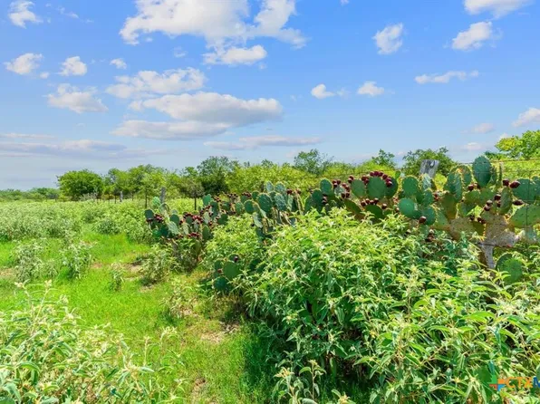 2 County Road 280, Harwood, TX 78632