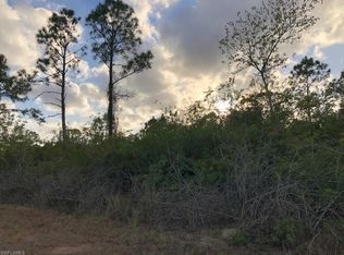 2003 Hines Ave, Alva, FL 33920