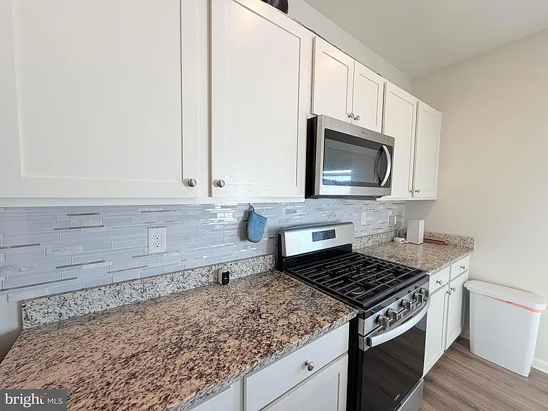 1239 Pimpernell Path — Photo 7