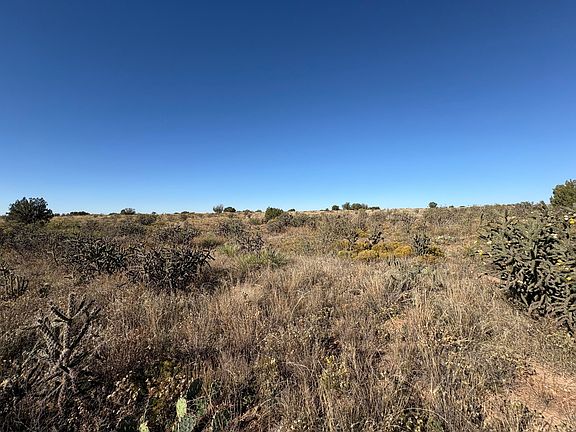2nd image of LOT 10 Quail Ln