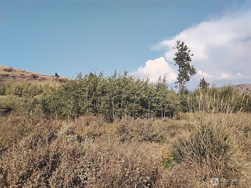 3rd image of 5 Painted Rock Road